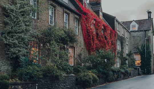  Investing in Airbnb in Whatley: Is It Worth It?